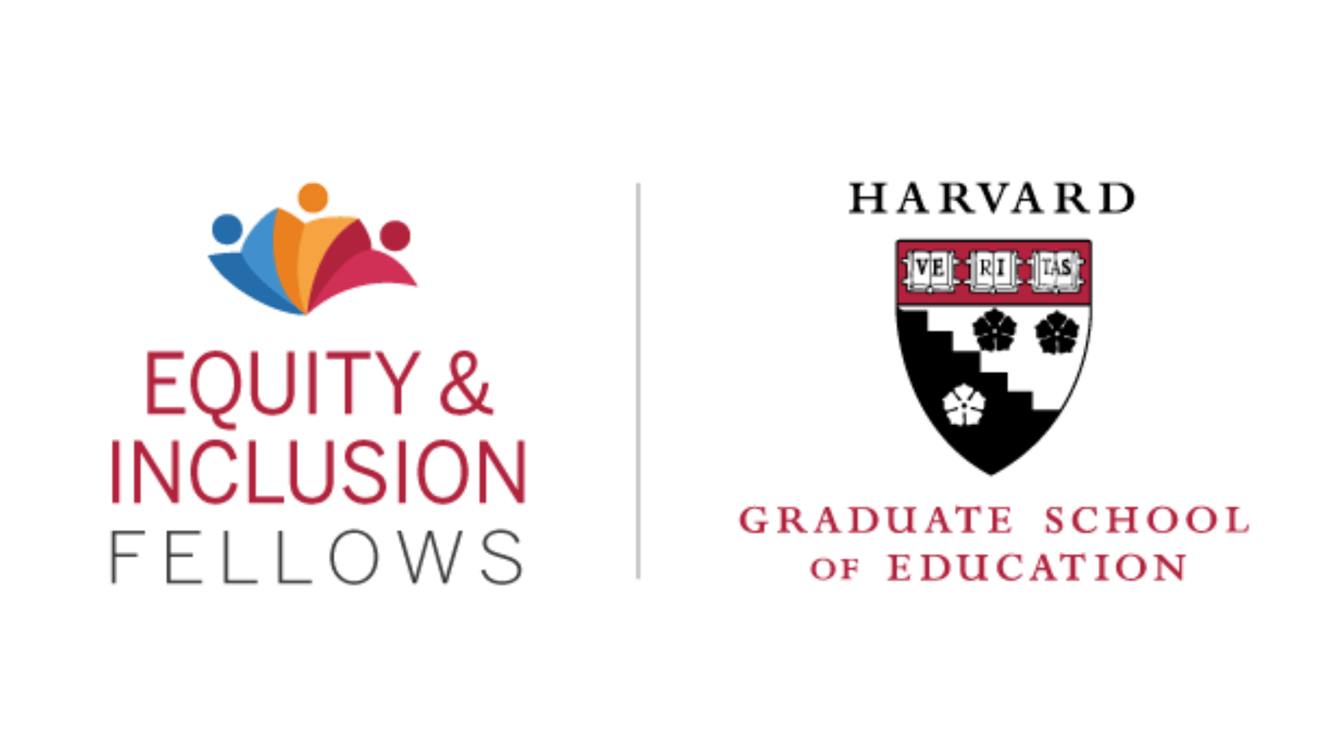 Richa is selected as Equity & Inclusion Fellow at Harvard University