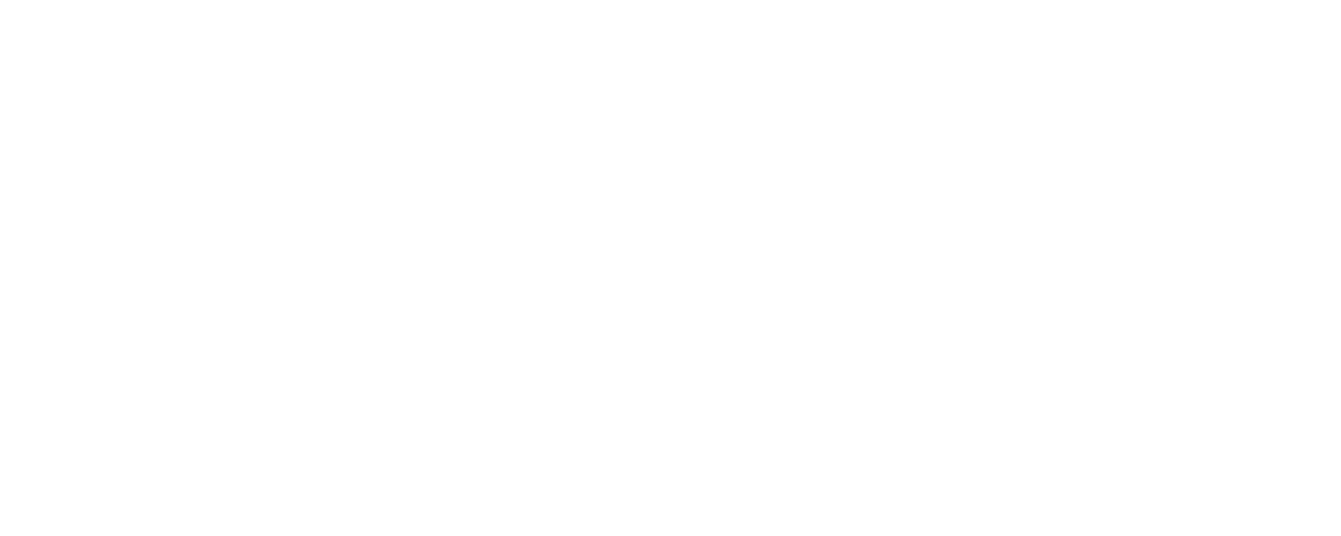 American India Foundation